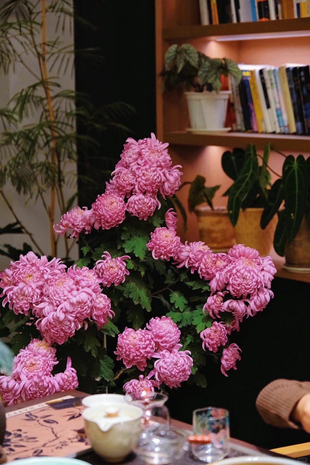 Kh&ocirc;ng chỉ đẹp, đ&acirc;y l&agrave; l&yacute; do người xưa dặn nhất định phải b&agrave;y hoa c&uacute;c ng&agrave;y Tết để gọi 