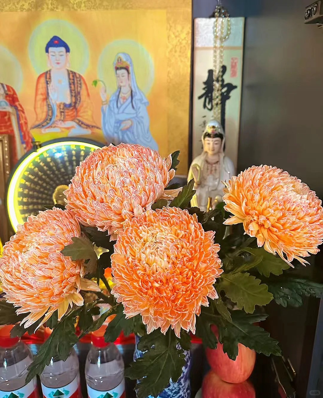 Kh&ocirc;ng chỉ đẹp, đ&acirc;y l&agrave; l&yacute; do người xưa dặn nhất định phải b&agrave;y hoa c&uacute;c ng&agrave;y Tết để gọi 