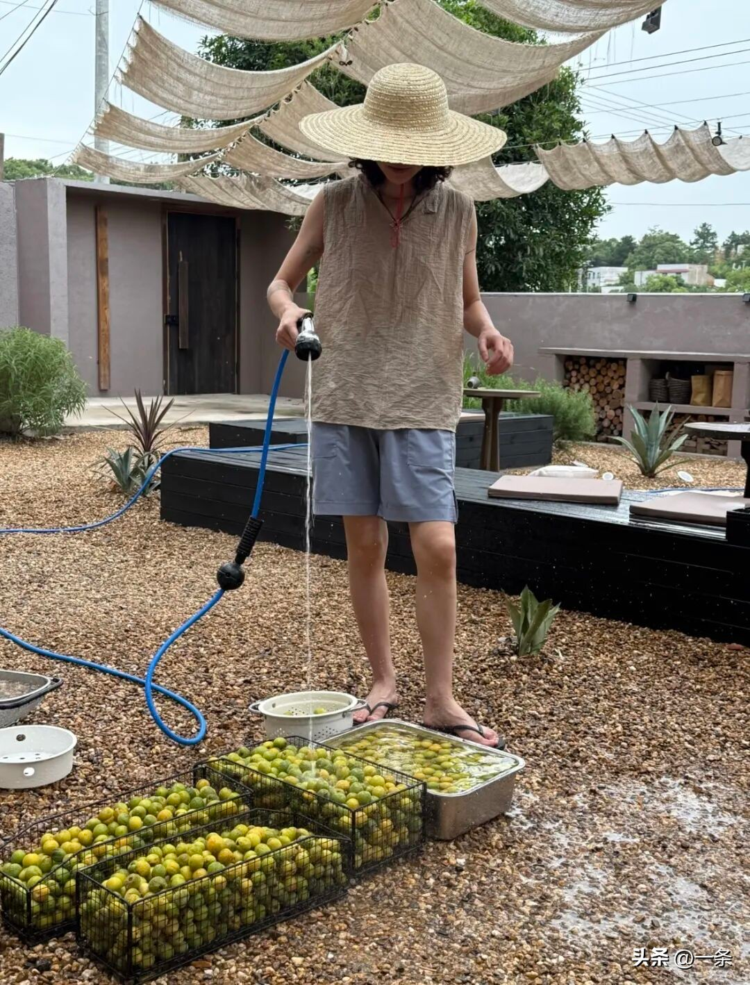 Hai người phụ nữ 40  bỏ phố về qu&ecirc;: Chi 400 triệu cải tạo nh&agrave; cũ, tạo m&ocirc; h&igrave;nh sống - l&agrave;m - nghỉ bền vững v&agrave; tự chủ t&agrave;i ch&iacute;nh- Ảnh 7.