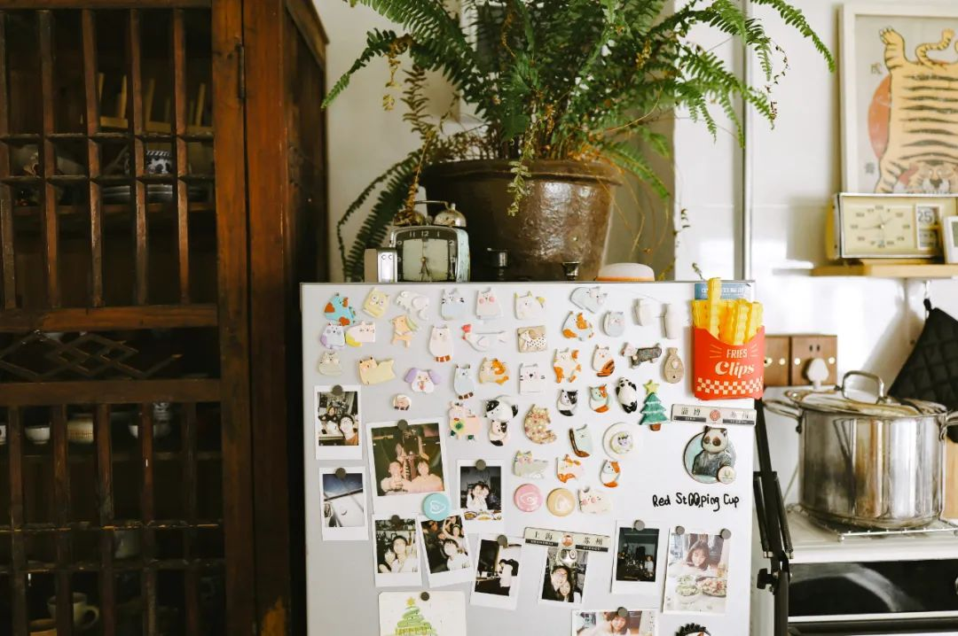 Giảm 70% chi ph&iacute; sống: Thu&ecirc; nh&agrave; 900.000đ/th&aacute;ng để "mua lại tự do" - c&aacute;ch tối ưu t&agrave;i ch&iacute;nh m&agrave; ở th&agrave;nh phố kh&ocirc;ng l&agrave;m được- Ảnh 5.