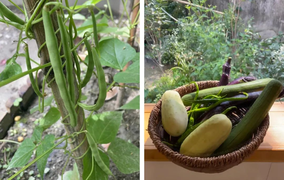 Giảm 70% chi ph&iacute; sống: Thu&ecirc; nh&agrave; 900.000đ/th&aacute;ng để "mua lại tự do" - c&aacute;ch tối ưu t&agrave;i ch&iacute;nh m&agrave; ở th&agrave;nh phố kh&ocirc;ng l&agrave;m được- Ảnh 8.