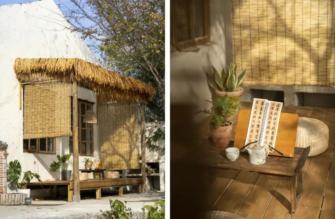 Giảm 70% chi ph&iacute; sống: Thu&ecirc; nh&agrave; 900.000đ/th&aacute;ng để "mua lại tự do" - c&aacute;ch tối ưu t&agrave;i ch&iacute;nh m&agrave; ở th&agrave;nh phố kh&ocirc;ng l&agrave;m được- Ảnh 16.