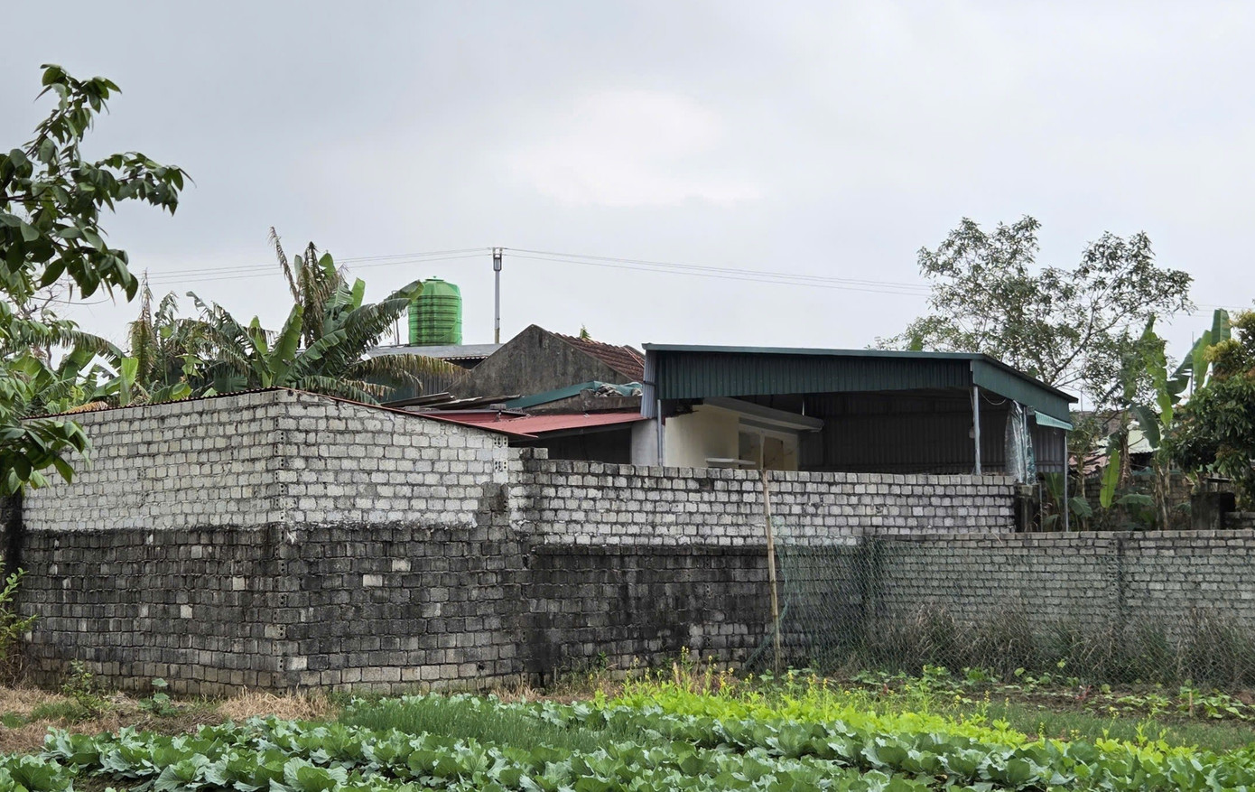 Nguy&ecirc;n nh&acirc;n vụ &aacute;n mạng khiến 3 người tử vong- Ảnh 1.