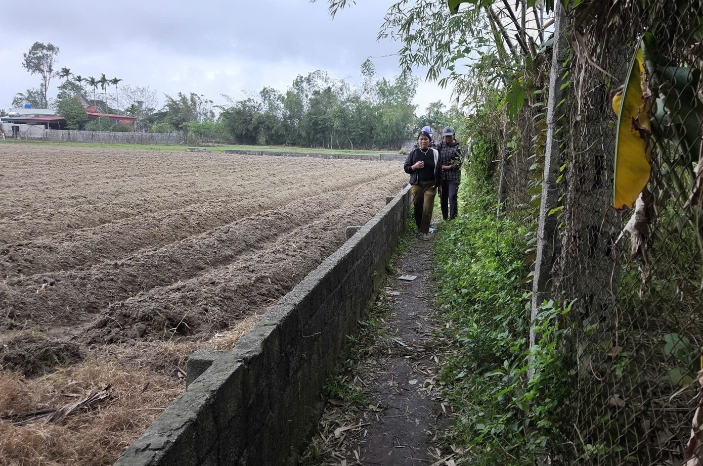 Nguy&ecirc;n nh&acirc;n vụ &aacute;n mạng khiến 3 người tử vong- Ảnh 2.