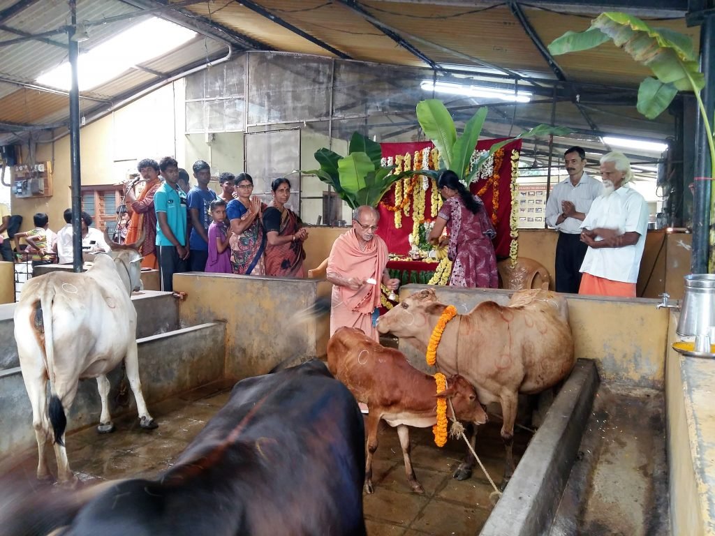 Ấn Độ nu&ocirc;i hơn 500 triệu con b&ograve; nhưng kh&ocirc;ng ăn thịt, m&agrave; biến chất thải của ch&uacute;ng th&agrave;nh mỏ v&agrave;ng tỷ đ&ocirc;- Ảnh 4.