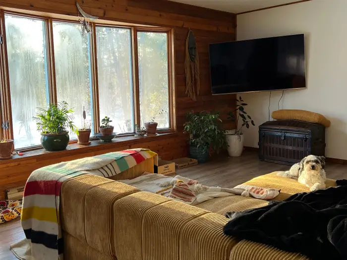 Đ&ocirc;i vợ chồng chi hơn 12 tỷ đồng mua mảnh đất 16.000m2 để nghỉ hưu sớm: &ldquo;1 năm sau t&ocirc;i phải quay lại th&agrave;nh phố, mọi thứ kh&aacute;c xa tưởng tượng&rdquo;- Ảnh 5.