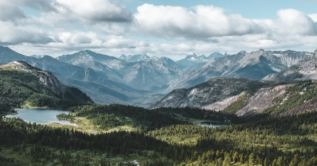 Đ&ocirc;i vợ chồng chi hơn 12 tỷ đồng mua mảnh đất 16.000m2 để nghỉ hưu sớm: &ldquo;1 năm sau t&ocirc;i phải quay lại th&agrave;nh phố, mọi thứ kh&aacute;c xa tưởng tượng&rdquo;- Ảnh 2.