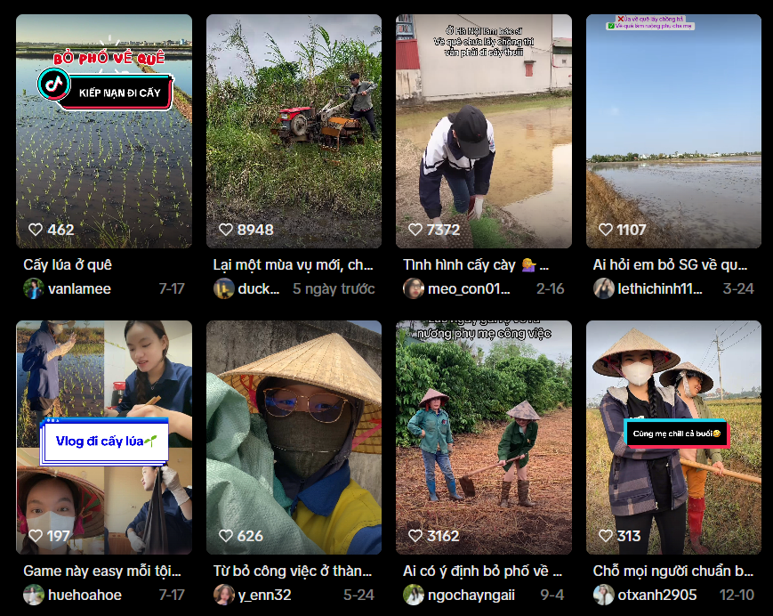 2025, nhiều "tinh hoa" của gia đ&igrave;nh chọn l&agrave;m c&ocirc;ng việc lạ lắm!- Ảnh 4.