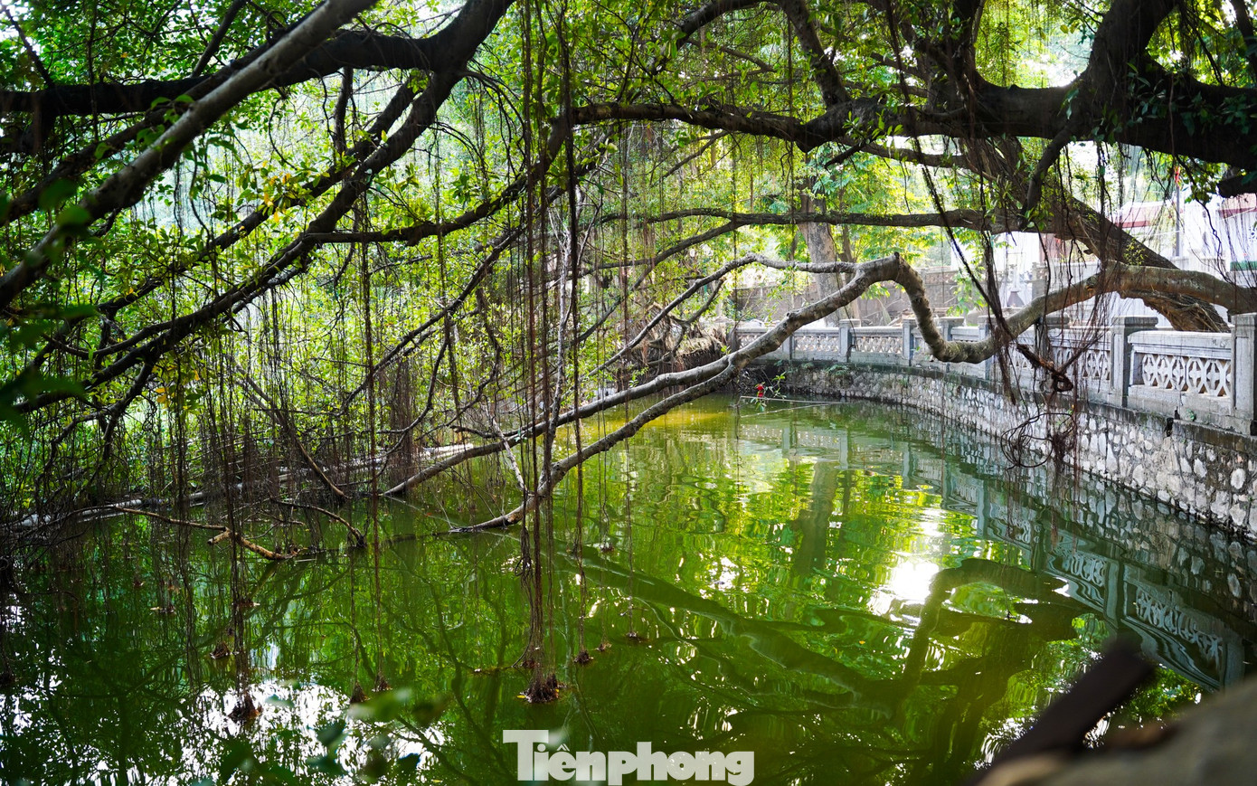 Ng&ocirc;i đền cổ giữa l&ograve;ng H&agrave; Nội th&agrave;nh điểm check-in 'b&iacute; mật' của giới trẻ- Ảnh 8.