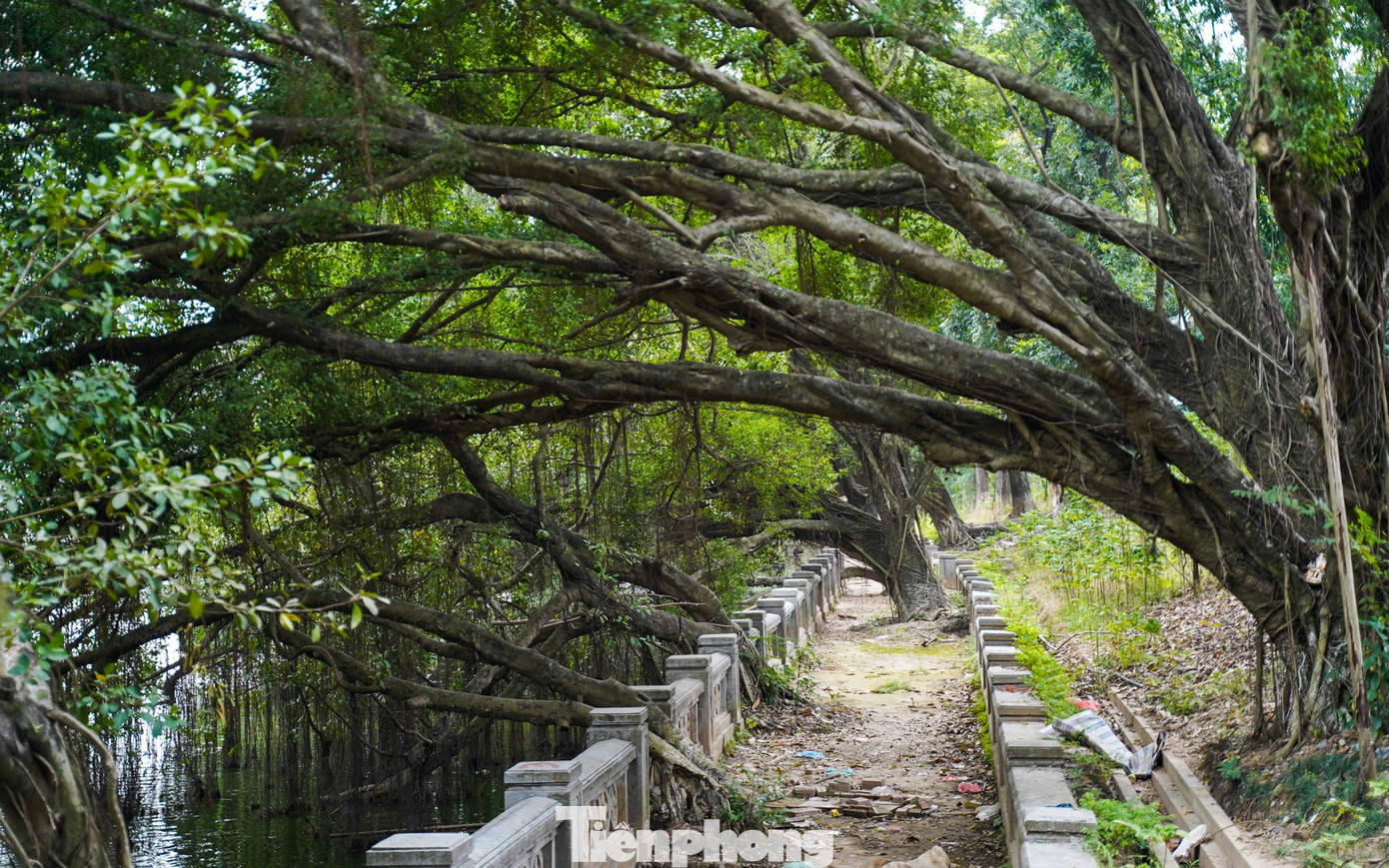 Ng&ocirc;i đền cổ giữa l&ograve;ng H&agrave; Nội th&agrave;nh điểm check-in 'b&iacute; mật' của giới trẻ- Ảnh 9.