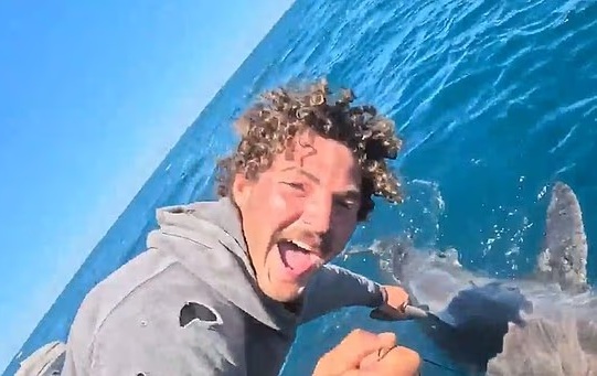 Thợ mộc trẻ kinh ngạc khi c&acirc;u được c&aacute; mập trắng khổng lồ d&agrave;i 2 m&eacute;t- Ảnh 1.