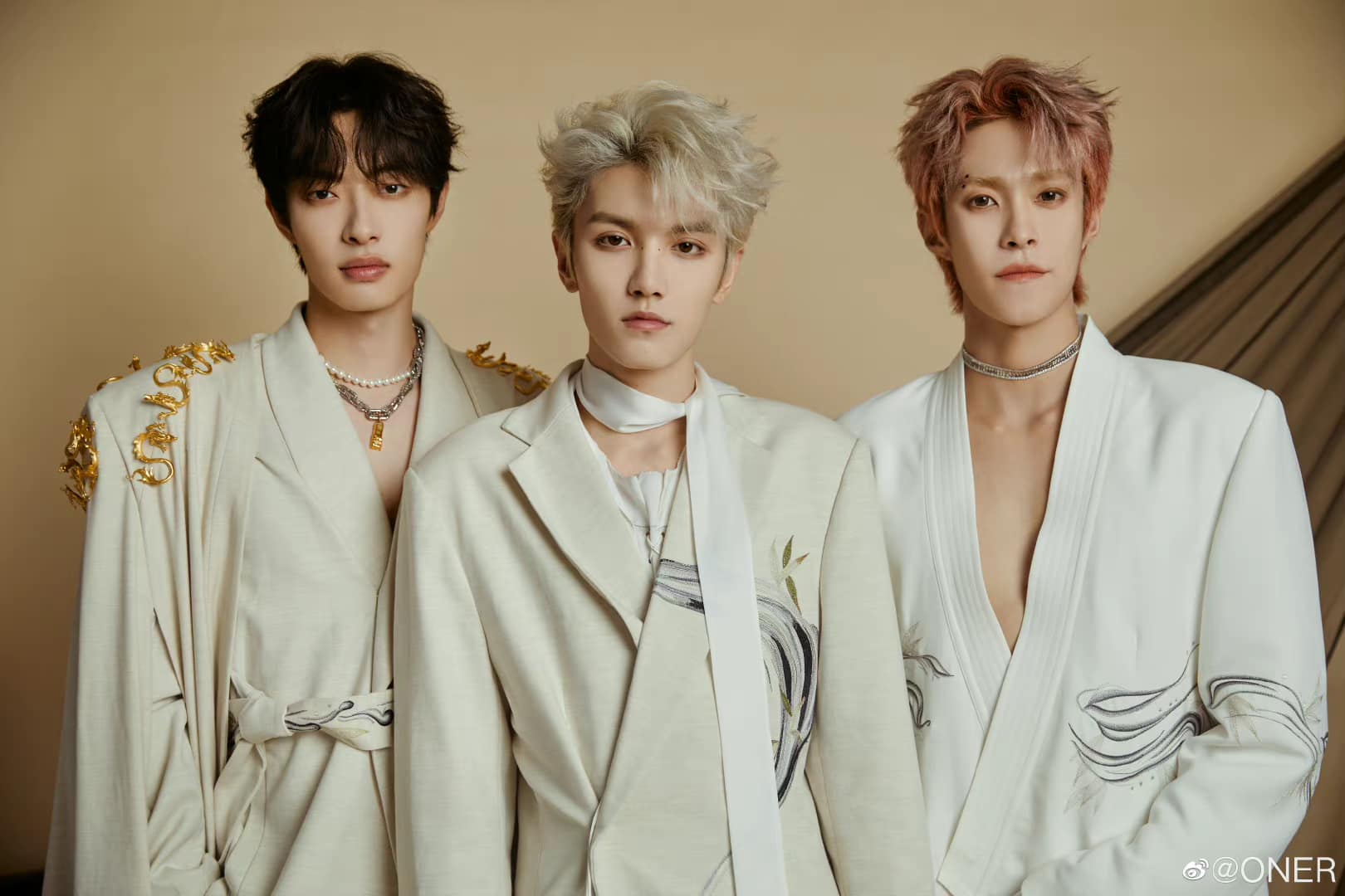 Sốc: Nam ca sĩ túm tóc fan nữ ngay tại sân bay- Ảnh 3. Sốc: Nam ca sĩ túm tóc fan nữ ngay tại sân bay- Ảnh 3.