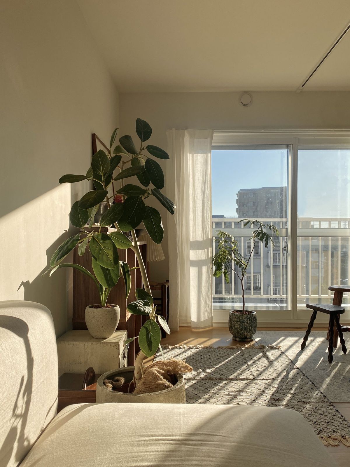 Ng&agrave;y đầu năm 2026: L&agrave;m 3 việc n&agrave;y để k&iacute;ch hoạt t&agrave;i lộc &ndash; nh&agrave; s&aacute;ng v&iacute;a, người s&aacute;ng tiền- Ảnh 2.