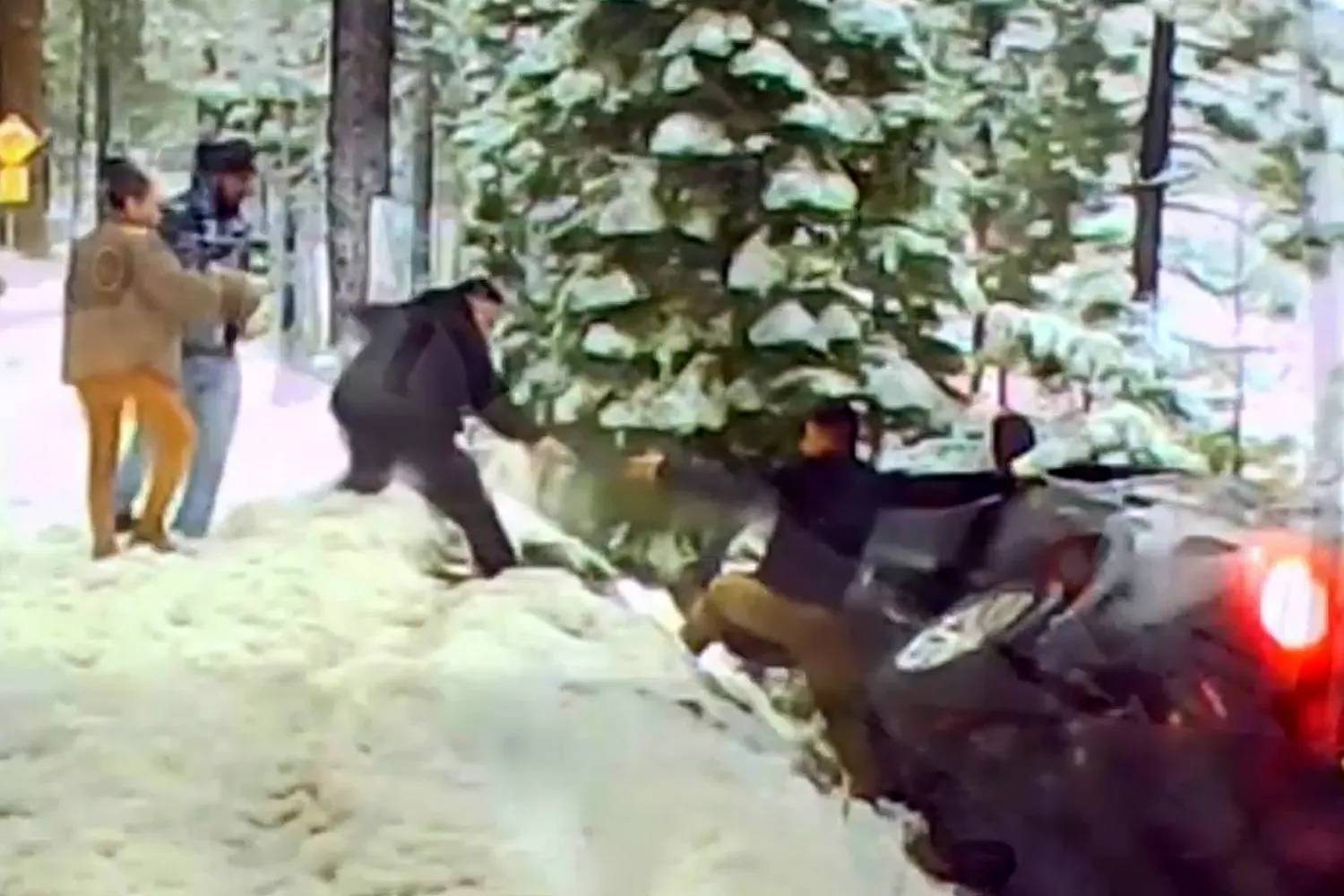 Ph&eacute;p m&agrave;u tr&ecirc;n v&aacute;ch n&uacute;i ng&agrave;y Gi&aacute;ng sinh- Ảnh 2.