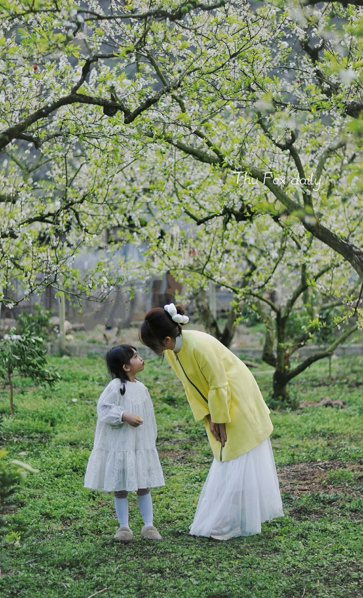 Bỏ việc nh&agrave; nước ổn định, c&ocirc; vợ H&agrave; Nội ở nh&agrave; full-time chăm s&oacute;c chồng con v&agrave; c&aacute;i kết bao người mơ ước- Ảnh 8.