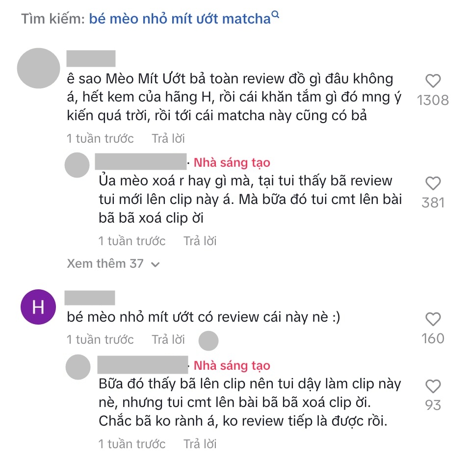 Năm thanh lọc 2025 qu&aacute; đ&aacute;ng sợ: 31/12 vẫn c&oacute; một TikToker triệu fan bị phốt đ&aacute; đổ danh tiếng- Ảnh 4.