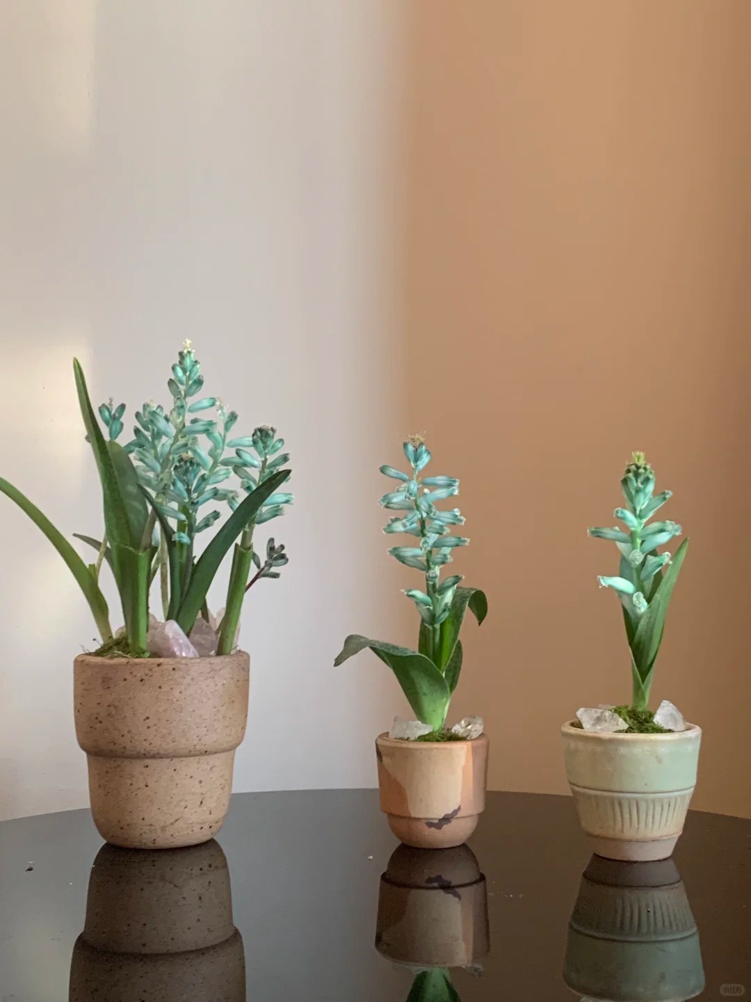 Kh&aacute;ch đến chơi Tết tưởng gia chủ cắm hoa giả, lại gần mới ngỡ ng&agrave;ng trước vẻ đẹp của lo&agrave;i "Lan Ngọc B&iacute;ch" nở ra đ&aacute; qu&yacute;, h&uacute;t lộc v&agrave;o nh&agrave;, ai nh&igrave;n cũng m&ecirc;- Ảnh 22.