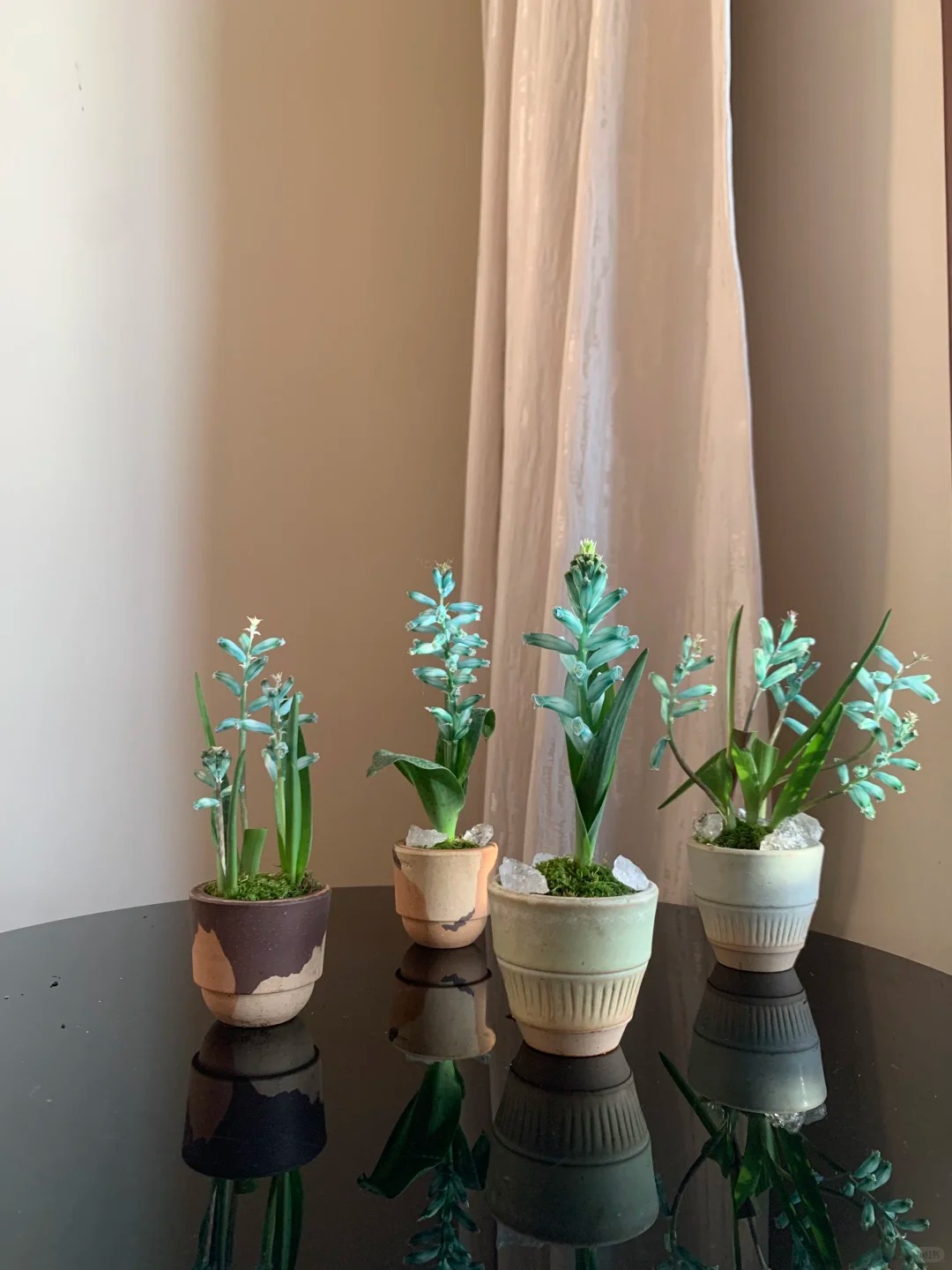 Kh&aacute;ch đến chơi Tết tưởng gia chủ cắm hoa giả, lại gần mới ngỡ ng&agrave;ng trước vẻ đẹp của lo&agrave;i "Lan Ngọc B&iacute;ch" nở ra đ&aacute; qu&yacute;, h&uacute;t lộc v&agrave;o nh&agrave;, ai nh&igrave;n cũng m&ecirc;- Ảnh 23.