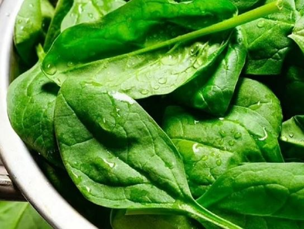 Loại rau được đ&aacute;nh gi&aacute; "tốt nhất thế giới", ho&aacute; ra l&agrave; rau quen thuộc ở nước ta- Ảnh 1.