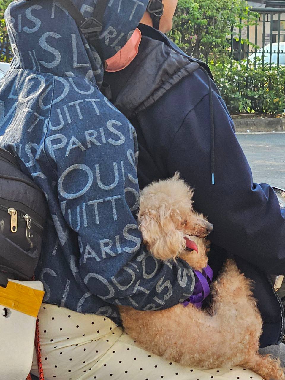 Bộ phim "VỀ QU&Ecirc;" ch&iacute;nh thức được c&ocirc;ng chiếu: To&agrave;n cảnh đường phố v&agrave;o ng&agrave;y cuối c&ugrave;ng của năm 2025- Ảnh 26.