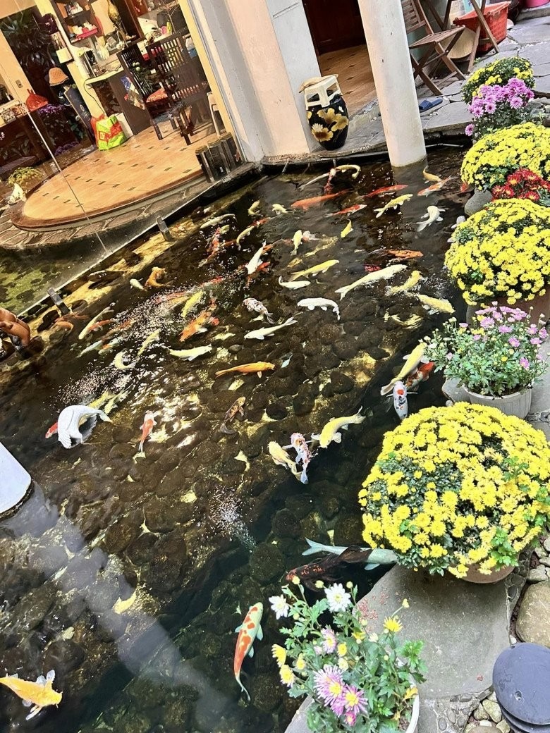 Cơ ngơi đẹp hơn tranh của &ldquo;ph&ugrave; thuỷ&rdquo; thiết kế xi&ecirc;m y T&aacute;o Qu&acirc;n- Ảnh 10.