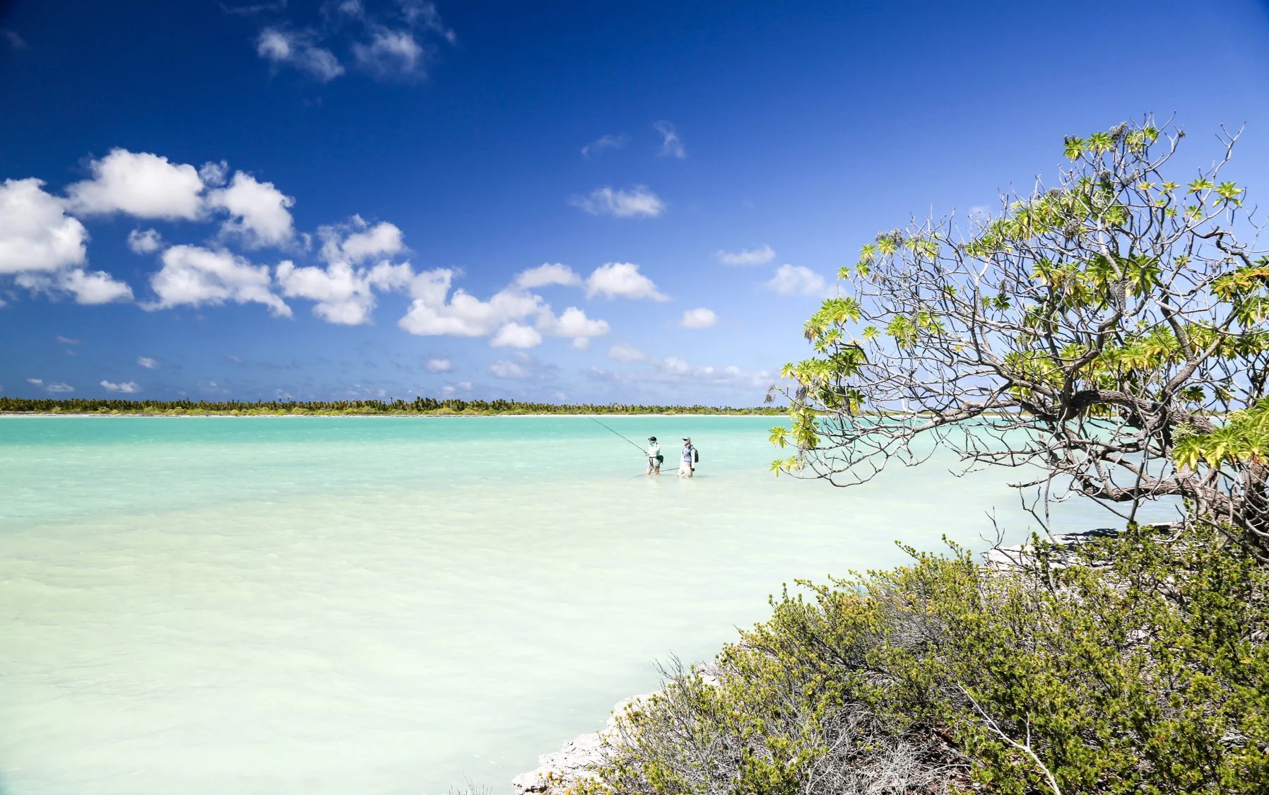 Nơi đầu tiên trên thế giới bước qua năm 2026- Ảnh 1. Nơi đầu tiên trên thế giới bước qua năm 2026- Ảnh 1.