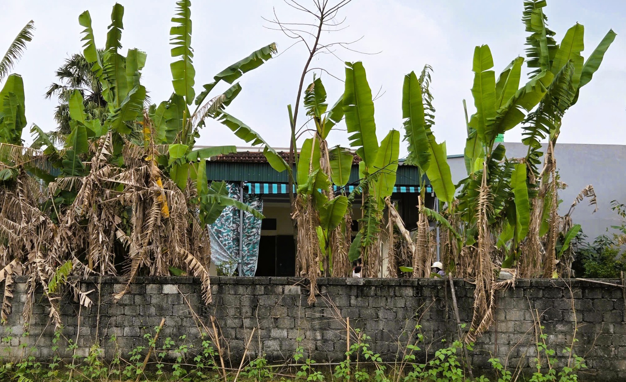 Cuộc h&ocirc;n nh&acirc;n s&oacute;ng gi&oacute; khiến người vợ bị chồng ch&eacute;m chết đ&uacute;ng ng&agrave;y ra t&ograve;a- Ảnh 1.