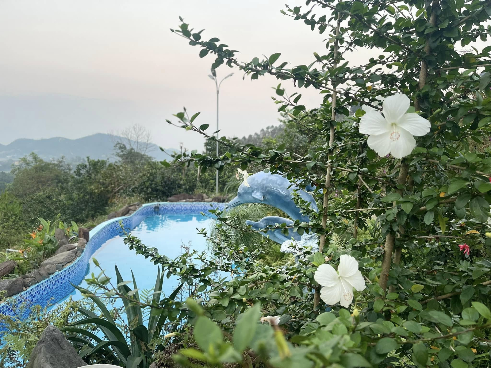 Cơ ngơi 10.000m2 của “ông hoàng nhạc đỏ” lẻ bóng ở tuổi U60- Ảnh 5.