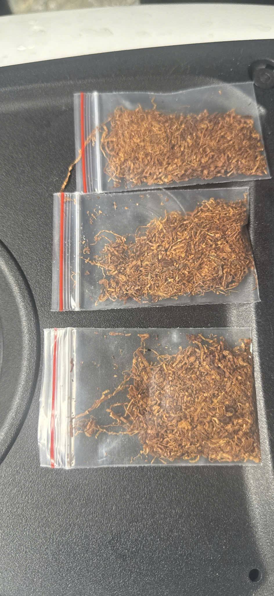 Lệnh giữ người khẩn cấp, khám xét nơi ở Trương Phạm Bình Minh- Ảnh 4.