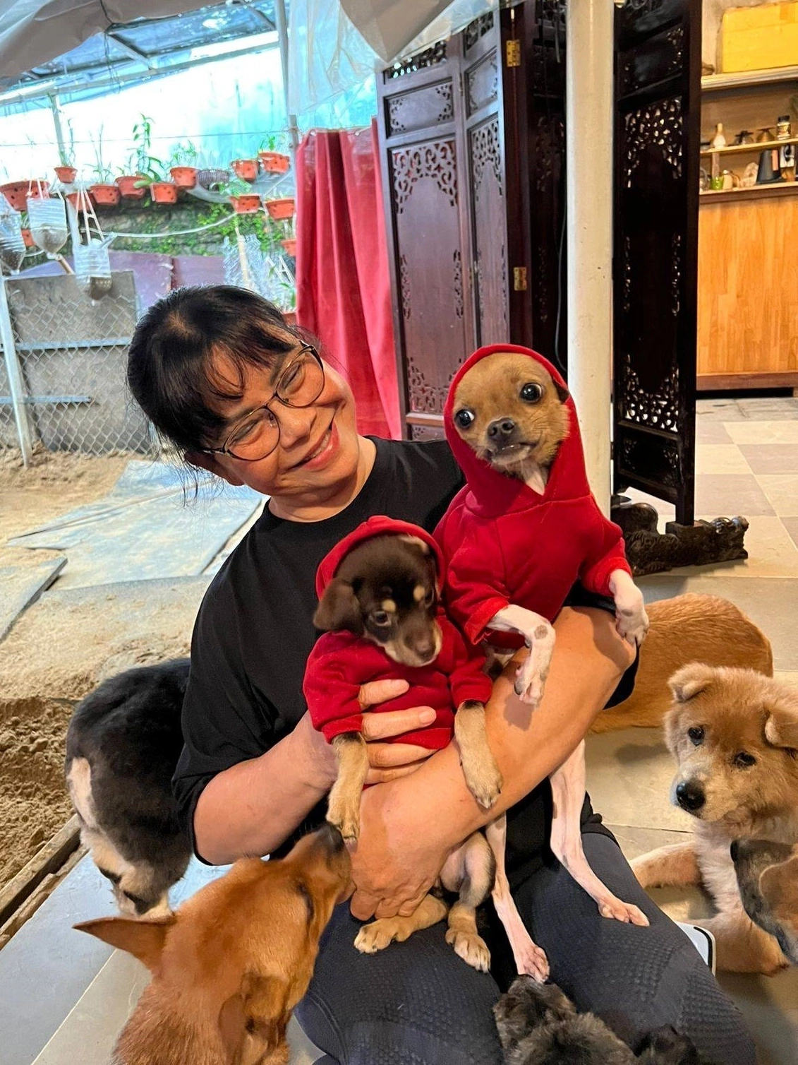 Nữ ca sĩ dùng biệt thự 500 m2 nuôi heo, chó, gà, ngỗng, làm cả sinh nhật cho thú cưng: U70 nhiều bệnh- Ảnh 3. Nữ ca sĩ dùng biệt thự 500 m2 nuôi heo, chó, gà, ngỗng, làm cả sinh nhật cho thú cưng: U70 nhiều bệnh- Ảnh 3.