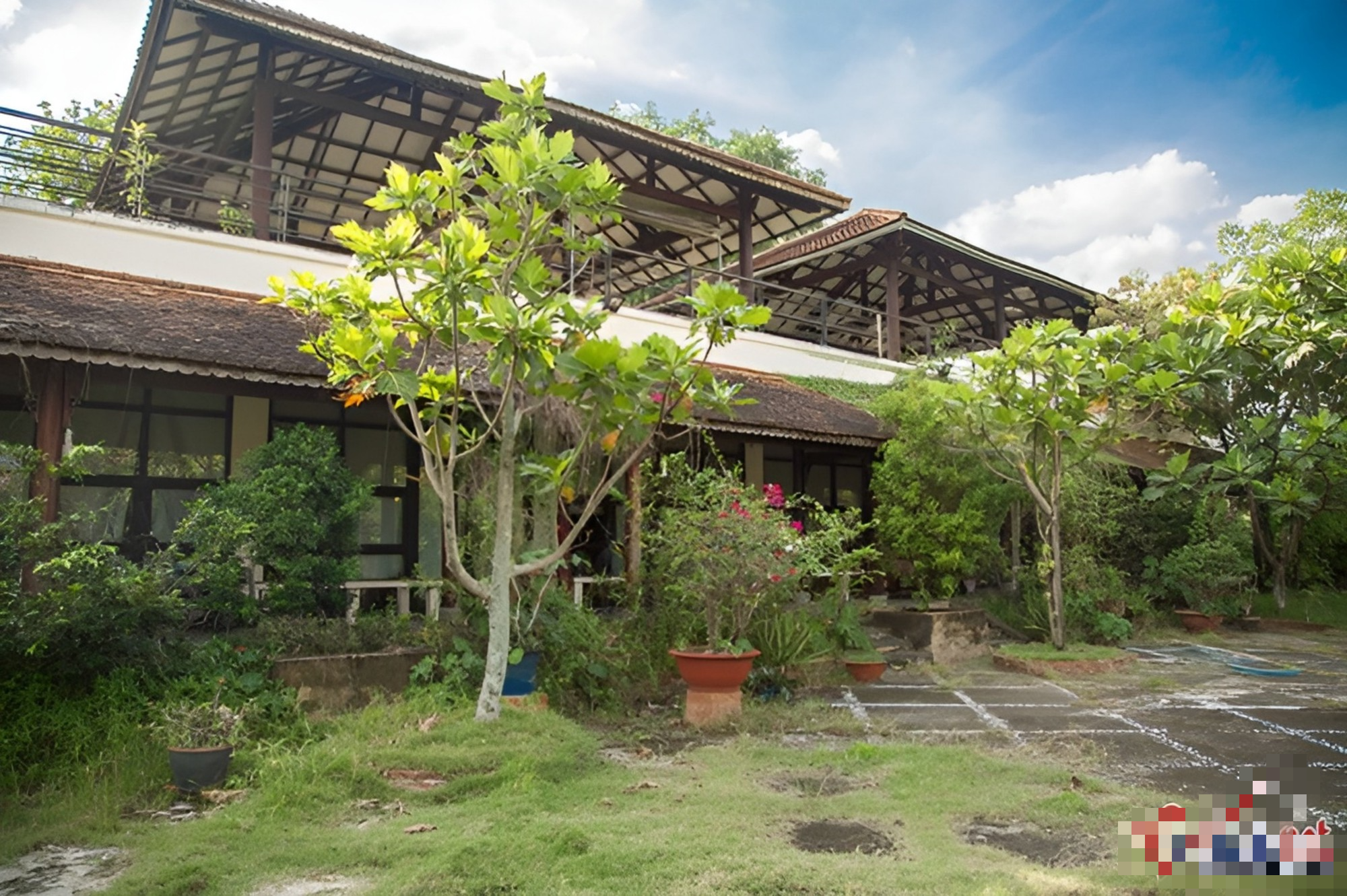 Nữ ca sĩ dùng biệt thự 500 m2 nuôi heo, chó, gà, ngỗng, làm cả sinh nhật cho thú cưng: U70 nhiều bệnh- Ảnh 5. Nữ ca sĩ dùng biệt thự 500 m2 nuôi heo, chó, gà, ngỗng, làm cả sinh nhật cho thú cưng: U70 nhiều bệnh- Ảnh 5.