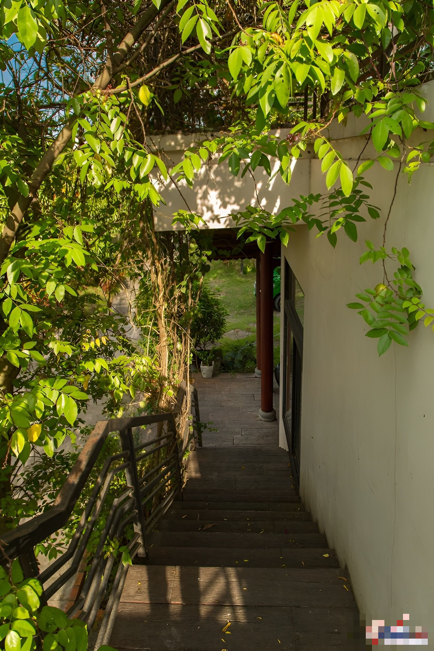 Nữ ca sĩ dùng biệt thự 500 m2 nuôi heo, chó, gà, ngỗng, làm cả sinh nhật cho thú cưng: U70 nhiều bệnh- Ảnh 6. Nữ ca sĩ dùng biệt thự 500 m2 nuôi heo, chó, gà, ngỗng, làm cả sinh nhật cho thú cưng: U70 nhiều bệnh- Ảnh 6.