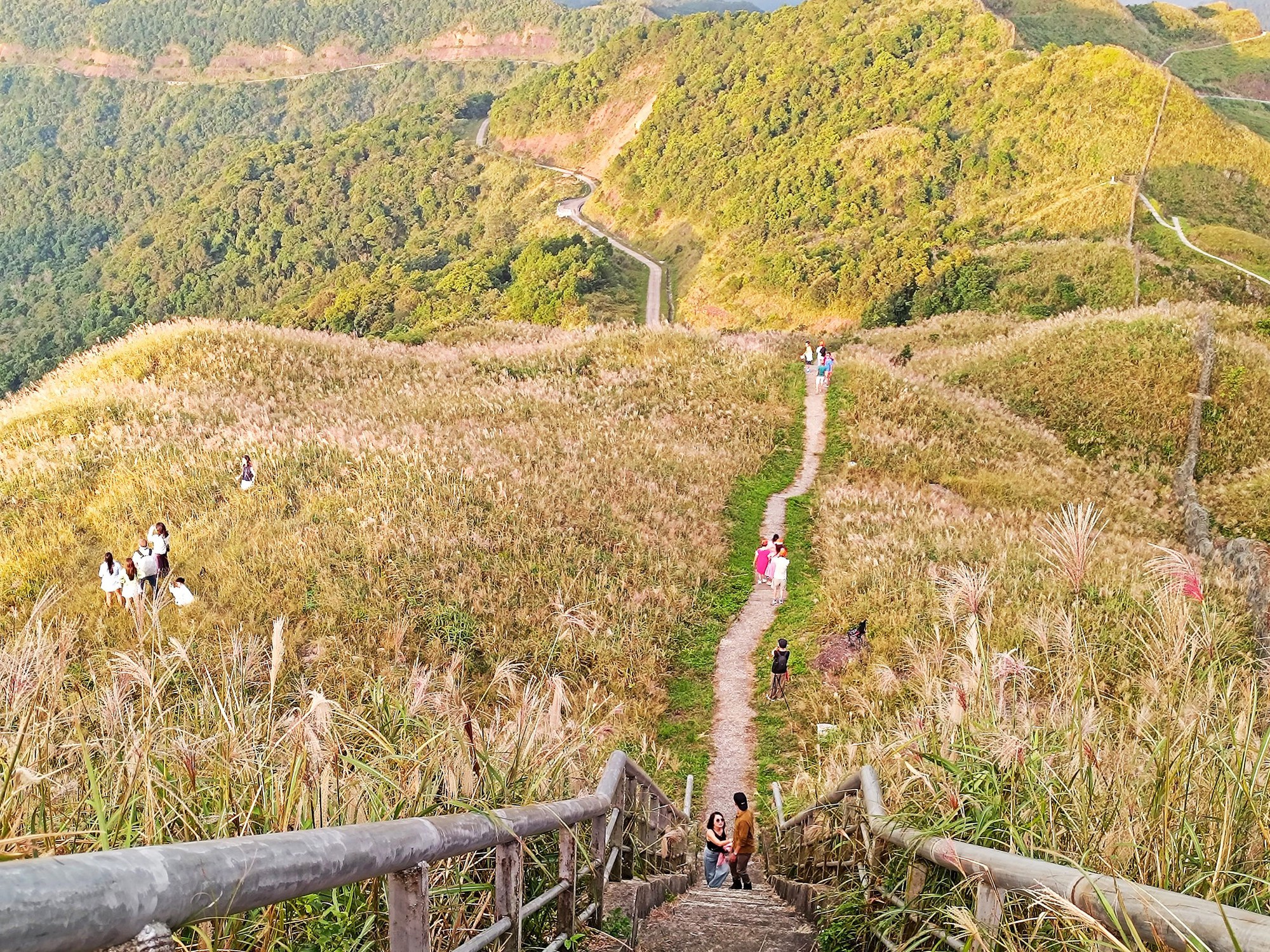 Về Quảng Ninh ngắm cỏ lau 'thức giấc' trên dải biên cương Bình Liêu- Ảnh 10.