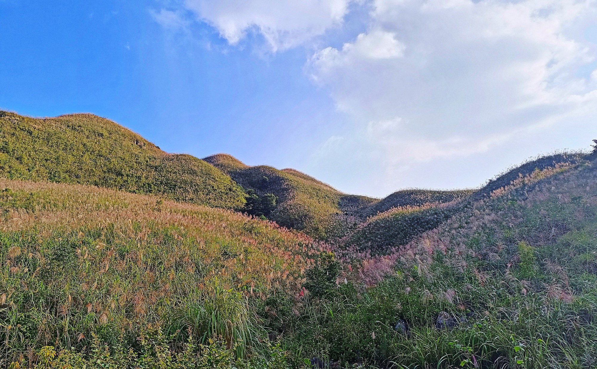 Về Quảng Ninh ngắm cỏ lau 'thức giấc' trên dải biên cương Bình Liêu- Ảnh 12.