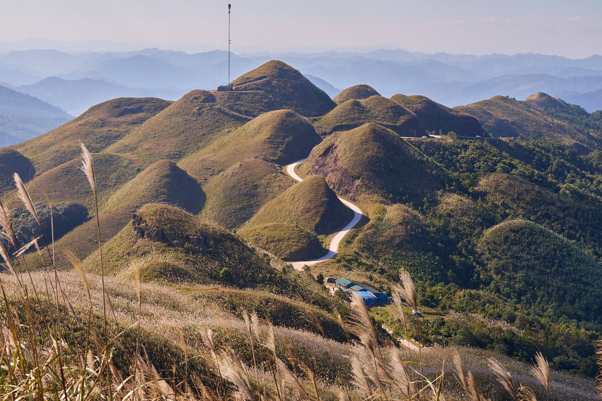 Về Quảng Ninh ngắm cỏ lau 'thức giấc' trên dải biên cương Bình Liêu- Ảnh 5.