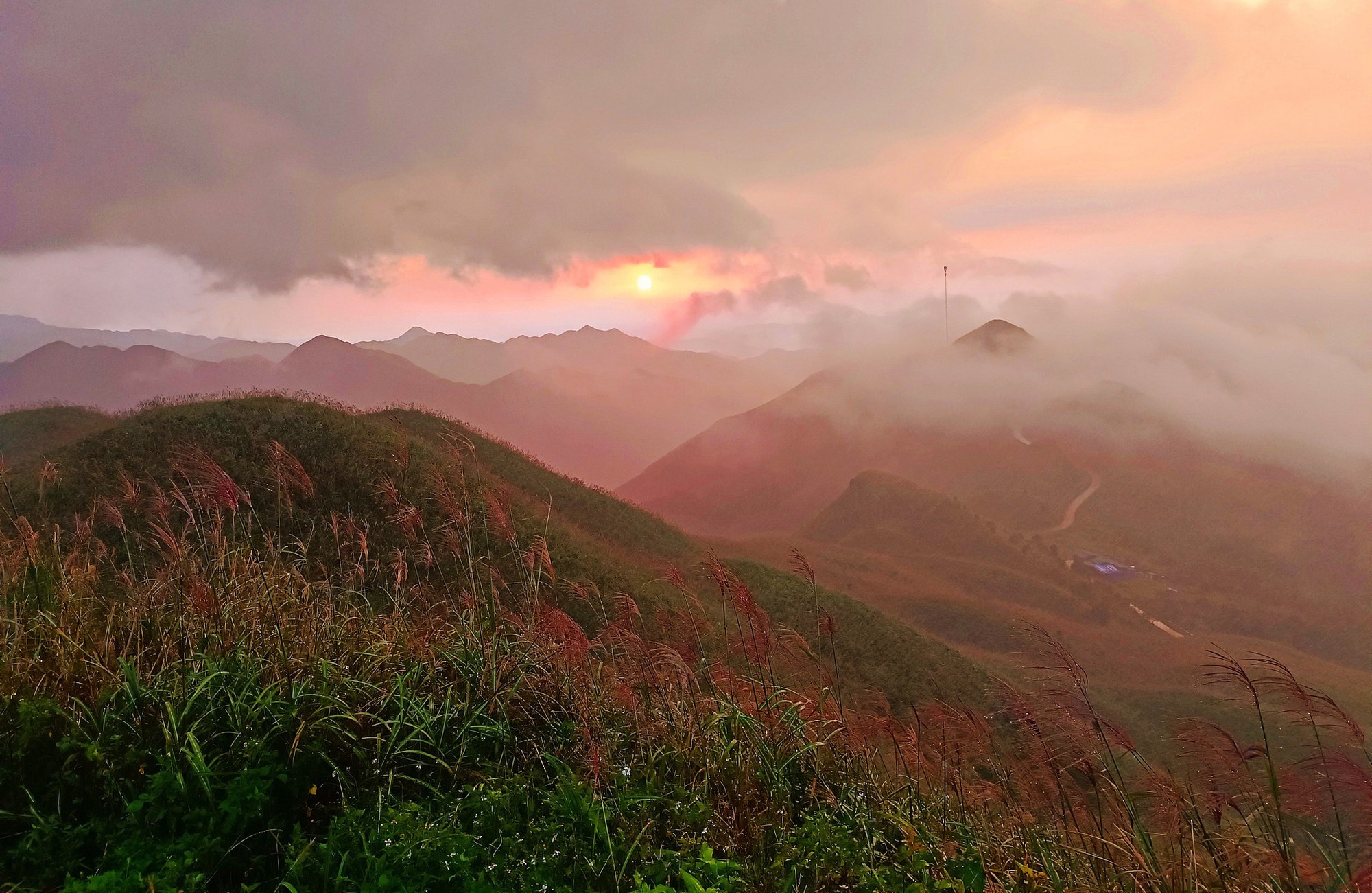 Về Quảng Ninh ngắm cỏ lau 'thức giấc' trên dải biên cương Bình Liêu- Ảnh 7.