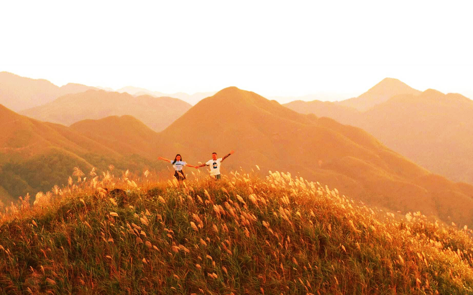 Về Quảng Ninh ngắm cỏ lau 'thức giấc' trên dải biên cương Bình Liêu- Ảnh 6.