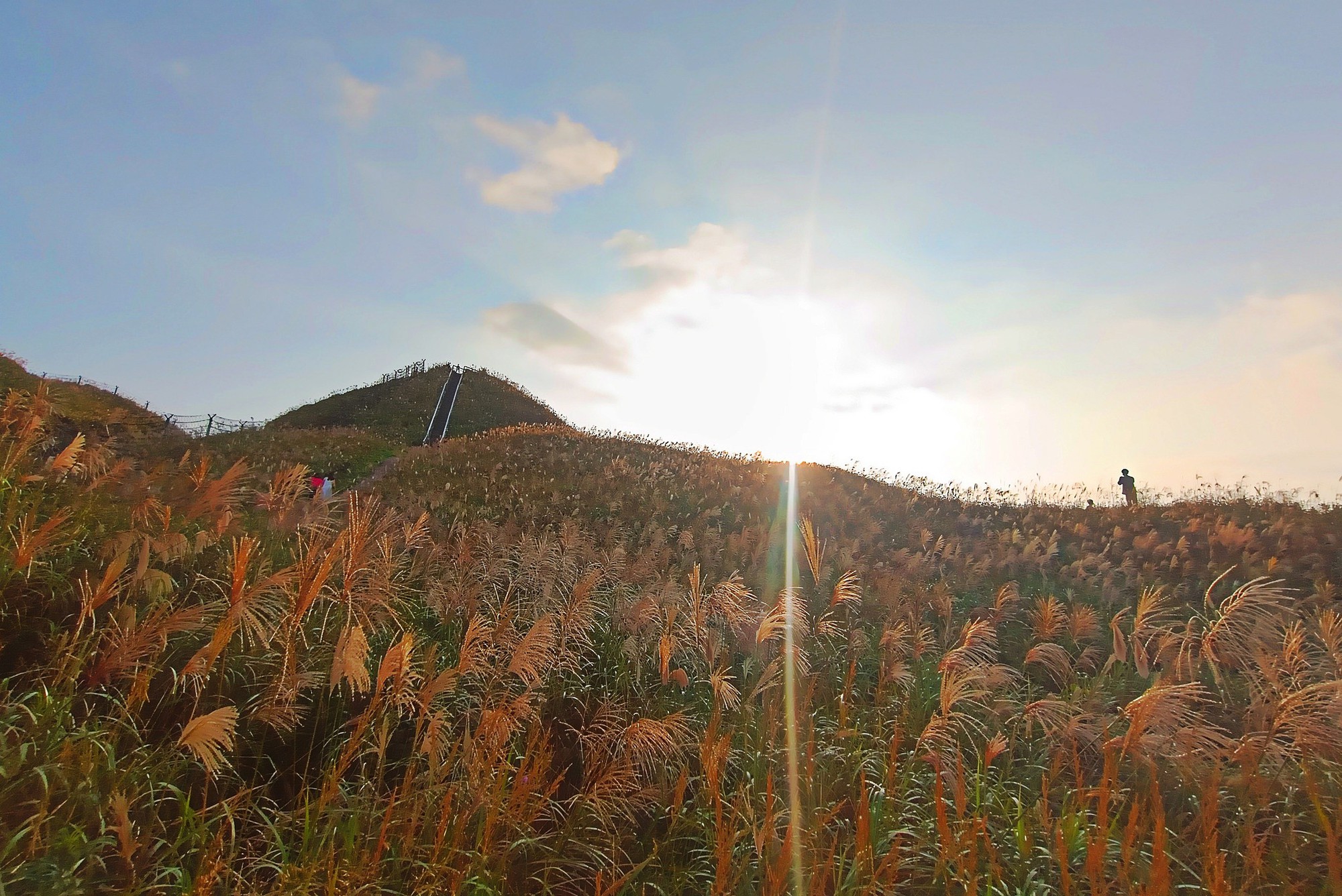 Về Quảng Ninh ngắm cỏ lau 'thức giấc' trên dải biên cương Bình Liêu- Ảnh 8.