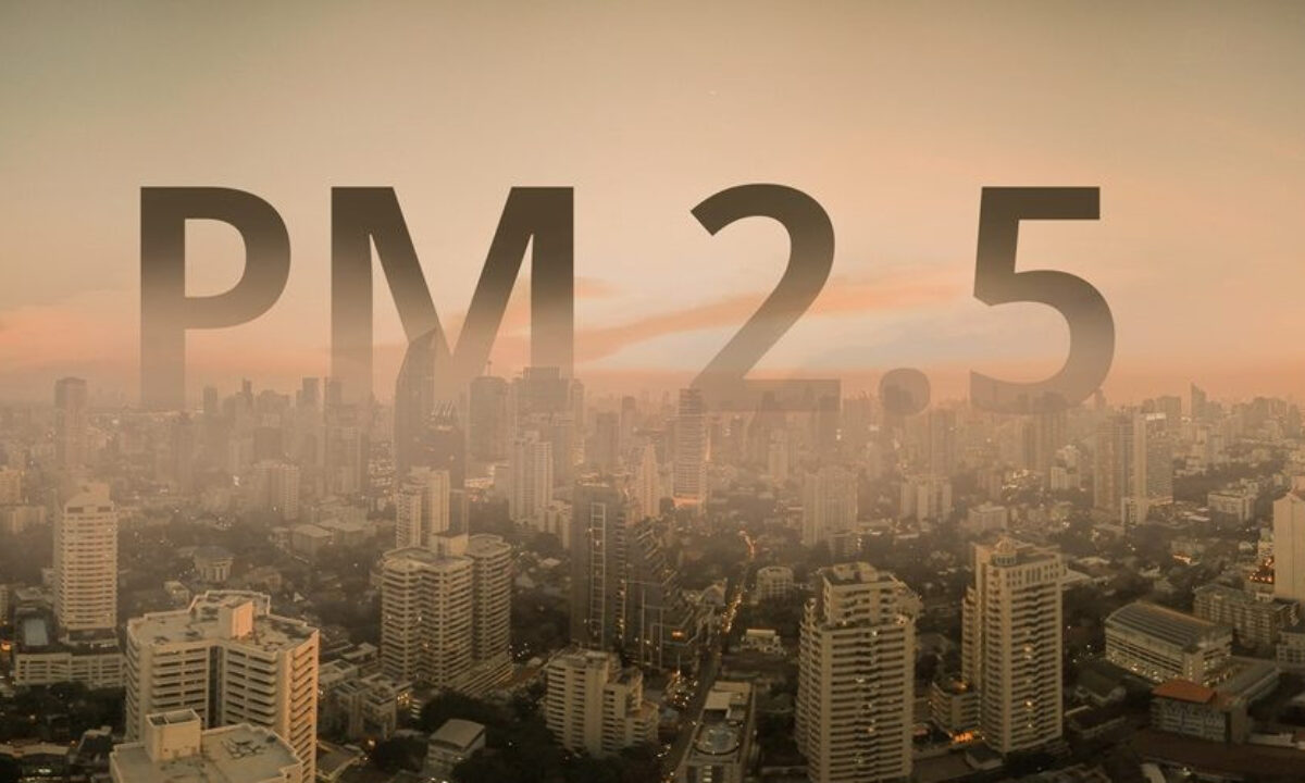 "Kẻ giết người thầm lặng" bụi mịn PM2.5: Nhỏ hơn sợi tóc 30 lần, xâm nhập sâu vào máu, khiến gần 6.000 người tử vong- Ảnh 3.