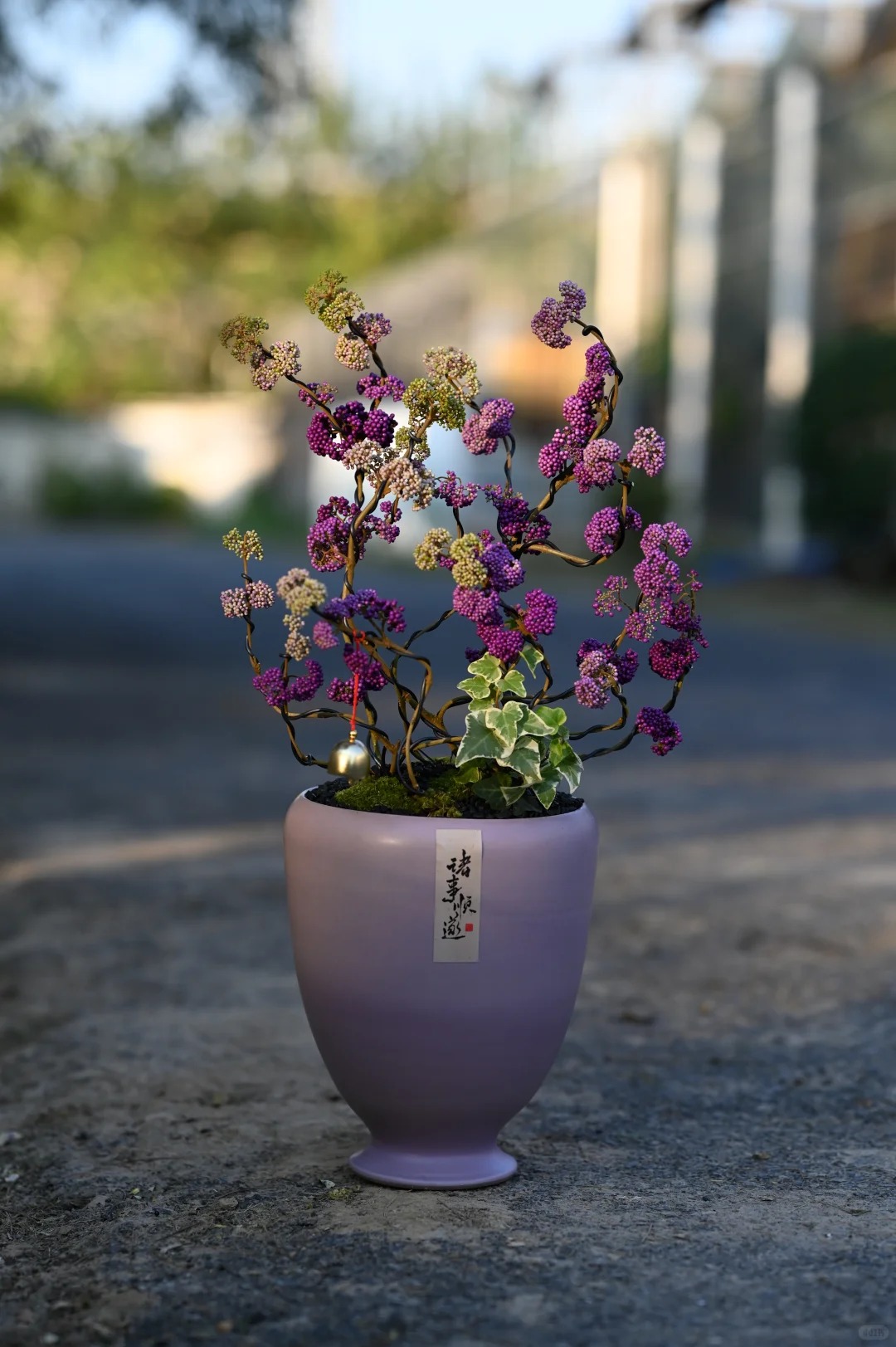 Loài cây Tết đến nhiều nhà muốn có: Chuỗi ngọc tím thổi bừng sức sống năm mới, hút tài lộc vào nhà- Ảnh 15.