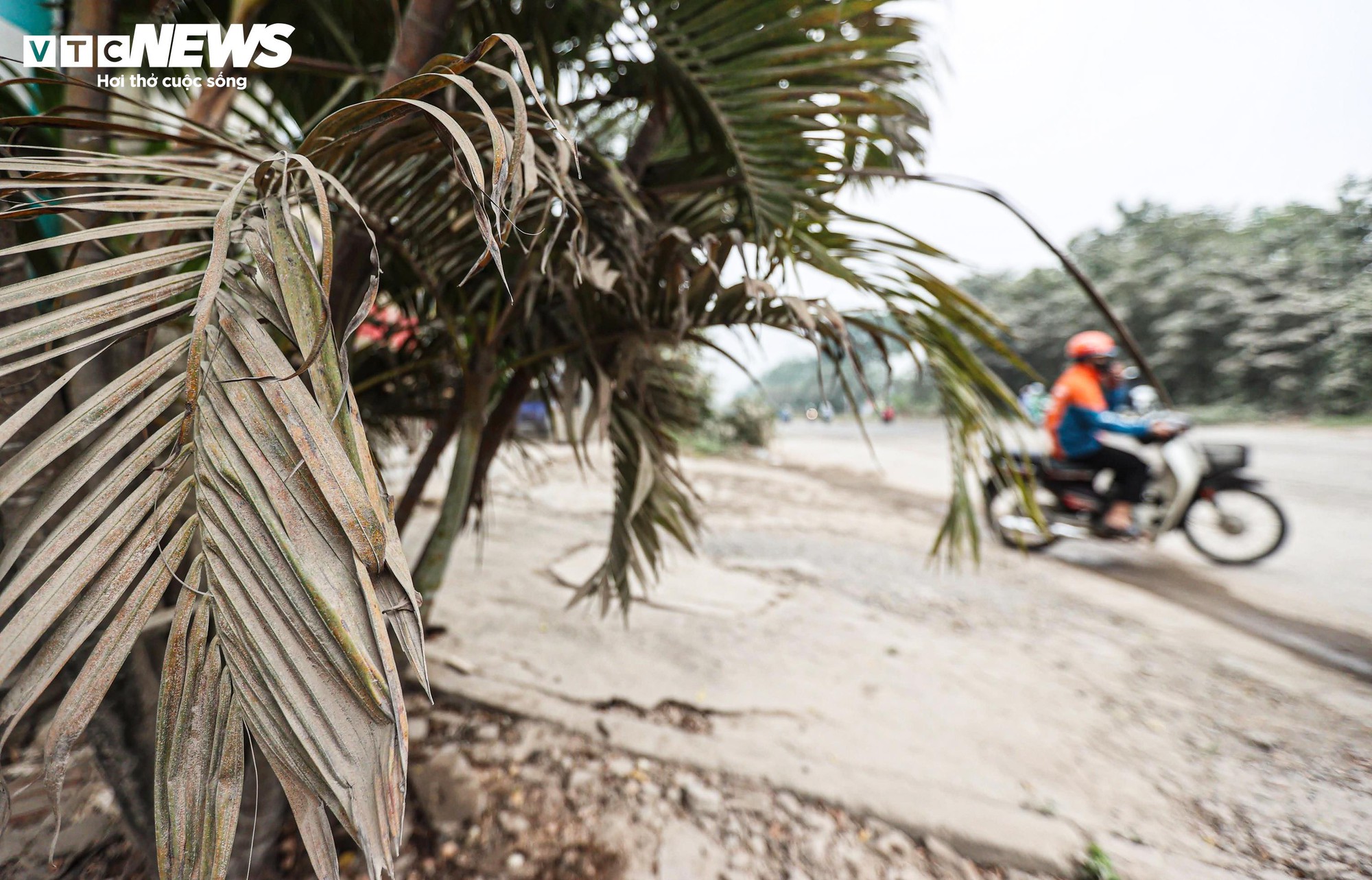 "Bão bụi" bao phủ đường cửa ngõ Hà Nội, cây cối chuyển màu trắng xóa- Ảnh 13.