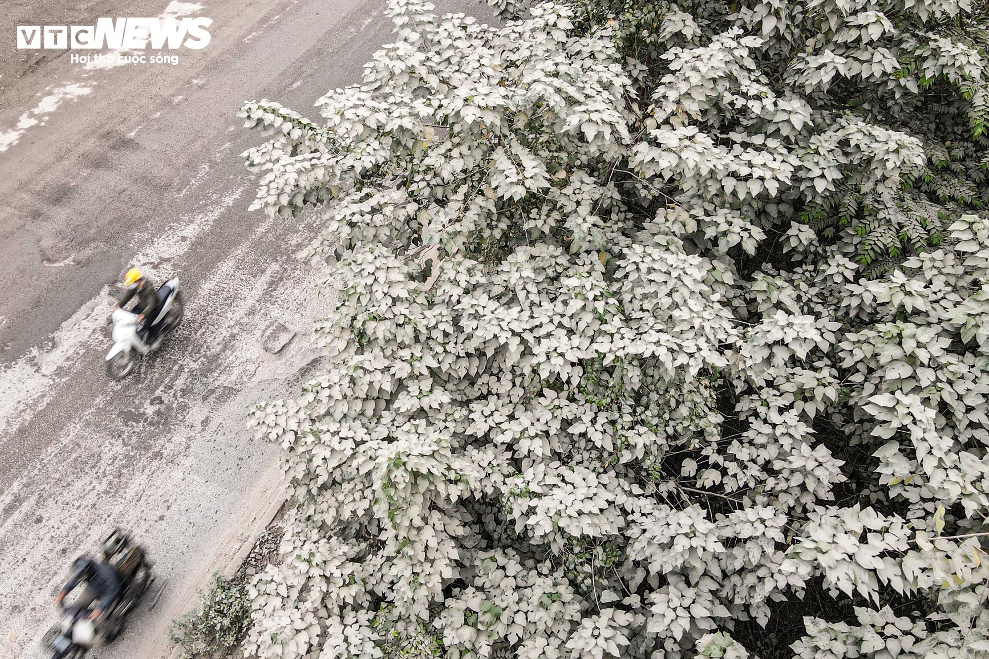 "Bão bụi" bao phủ đường cửa ngõ Hà Nội, cây cối chuyển màu trắng xóa- Ảnh 2.