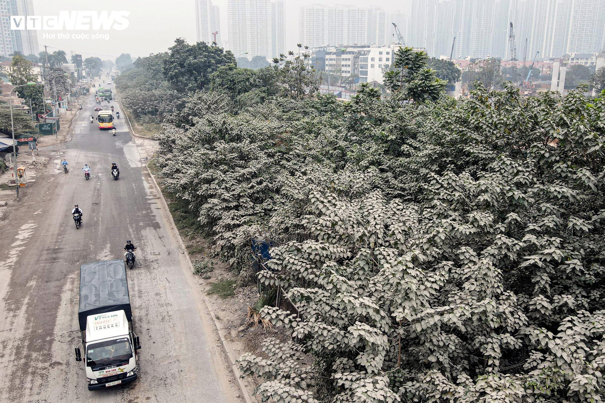 "Bão bụi" bao phủ đường cửa ngõ Hà Nội, cây cối chuyển màu trắng xóa- Ảnh 4.