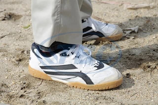 Cổ phiếu Giầy Thượng Đình tăng trần 11 phiên liên tiếp, ban lãnh đạo nói gì?- Ảnh 1.