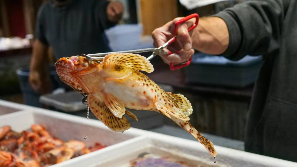 Chàng trai 25 tuổi mắc ung thư gan vì thói quen ăn hải sản của nhiều người- Ảnh 3.