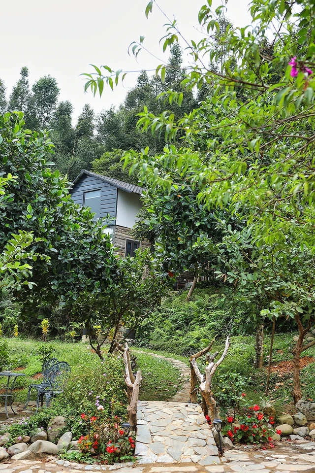 Cơ ngơi 10.000m2 của “ông hoàng nhạc đỏ” lẻ bóng ở tuổi U60- Ảnh 6.