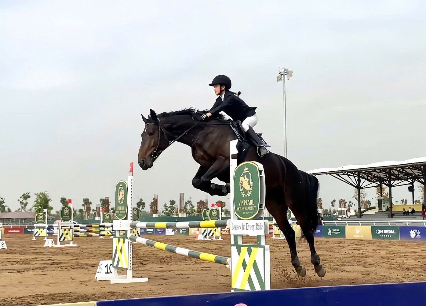 Vinpearl Equestrian Cup 2025: Bước đột phá của thể thao cưỡi ngựa Việt Nam- Ảnh 1.