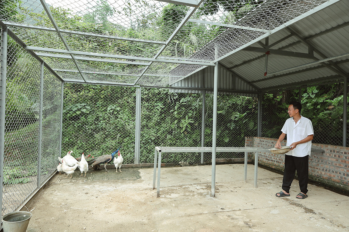 Cơ ngơi 10.000m2 của “ông hoàng nhạc đỏ” lẻ bóng ở tuổi U60- Ảnh 10.