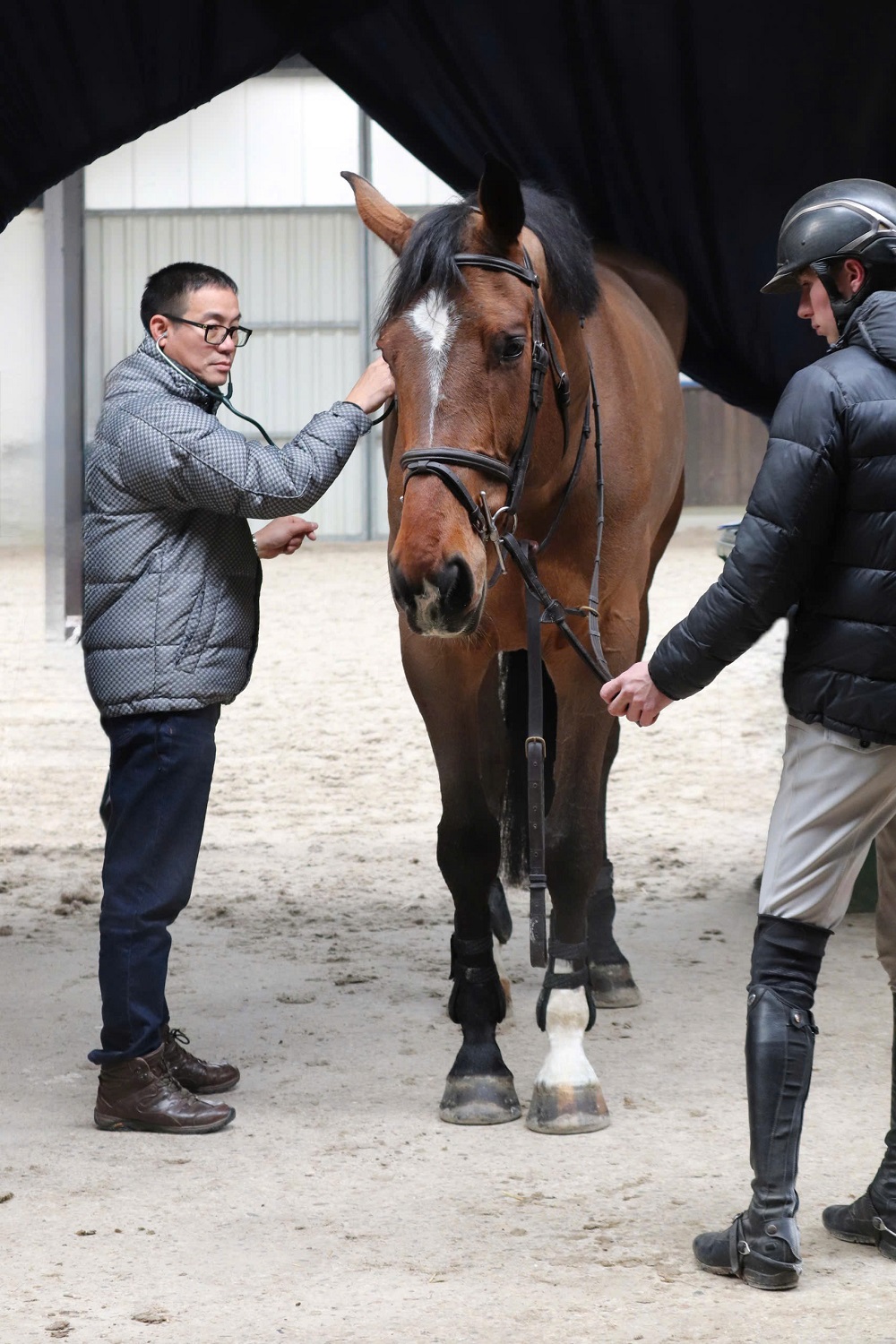 Vinpearl Equestrian Cup 2025: Bước đột phá của thể thao cưỡi ngựa Việt Nam- Ảnh 6.