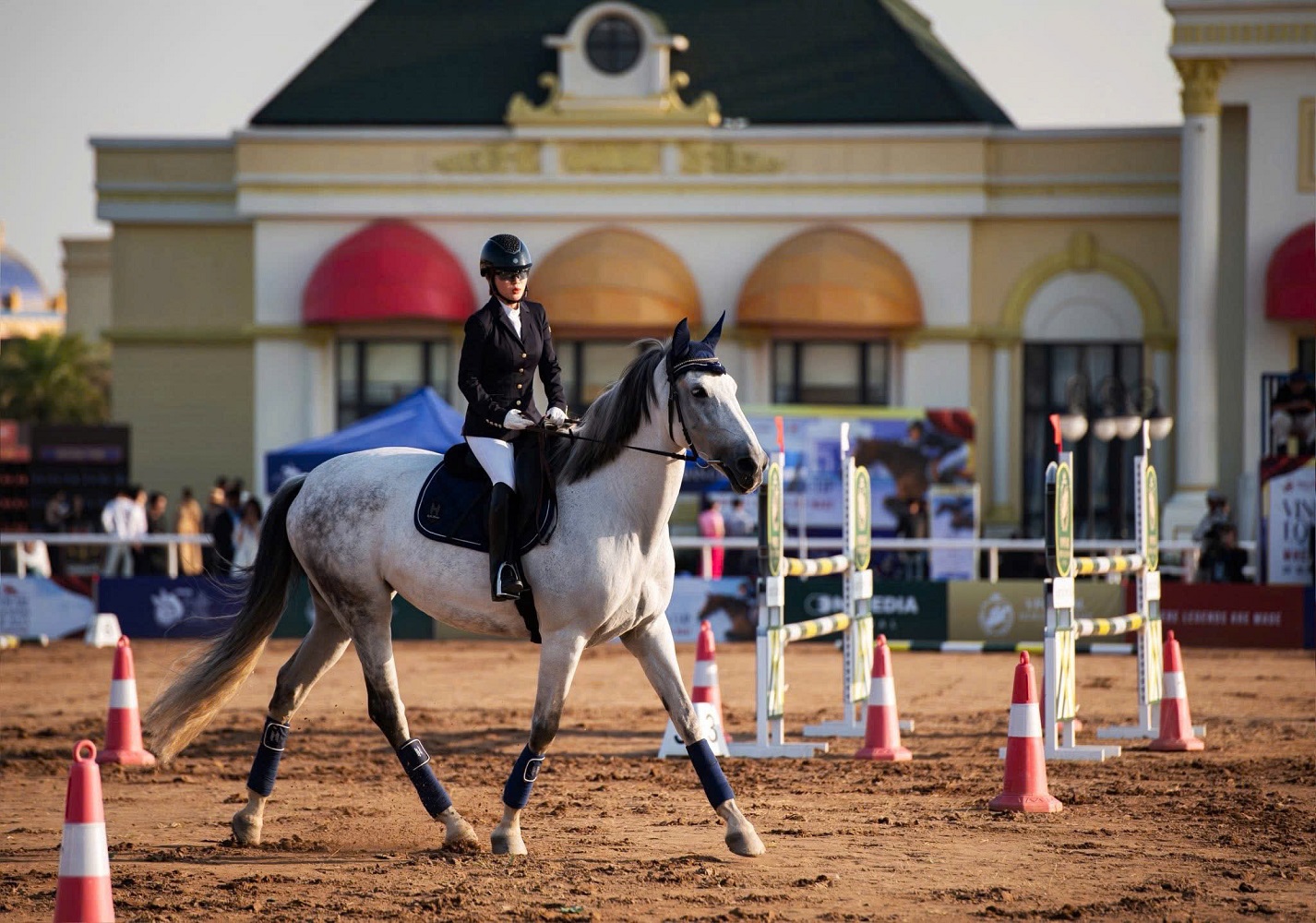 Vinpearl Equestrian Cup 2025: Bước đột phá của thể thao cưỡi ngựa Việt Nam- Ảnh 8.